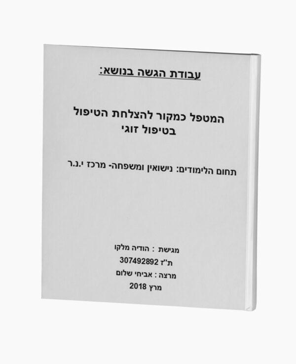המטפל כמקור להצלחת הטיפול בטיפול זוגי