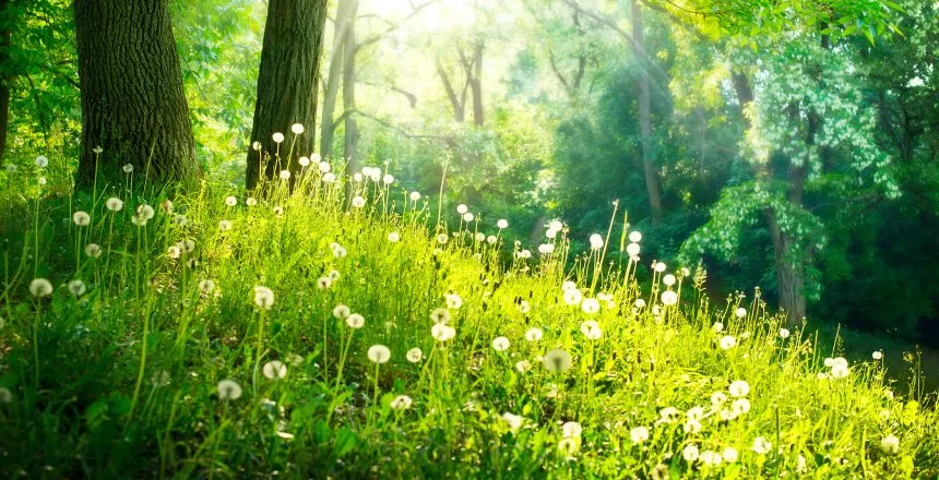green_flower