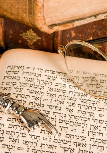 בדין הוצאת שערה מבגד בשבת