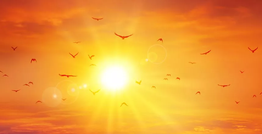 sun